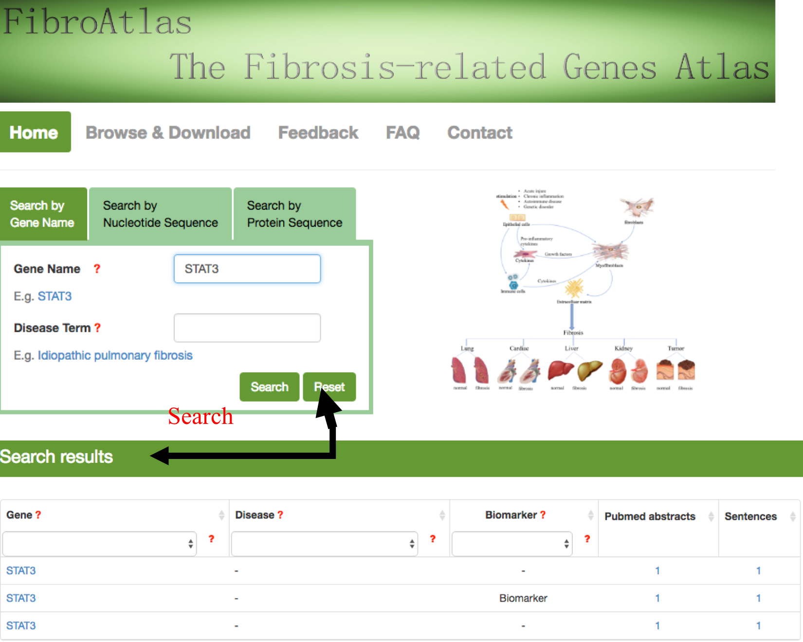 Gene-centric query