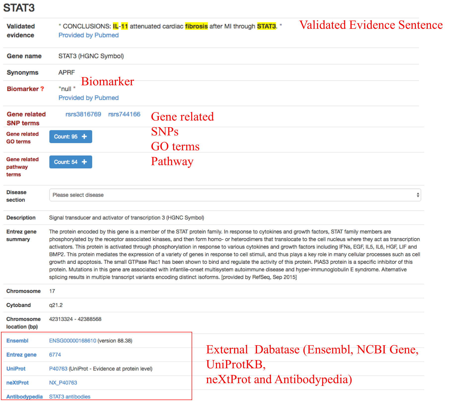 Gene-centric query