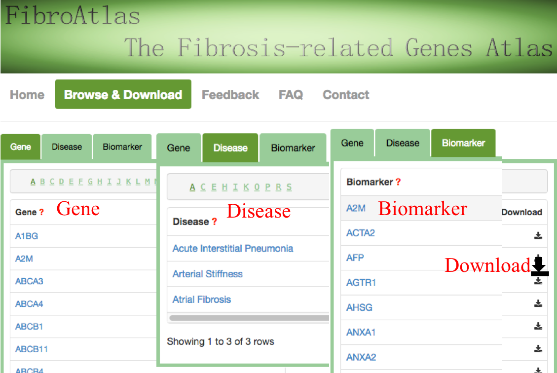 Gene-centric query
