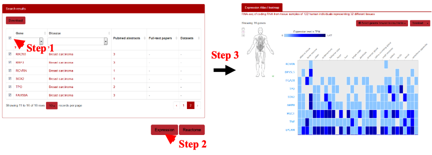 Schematic illustration of gene expression analysis for human autoantigens by Expression Atlas.