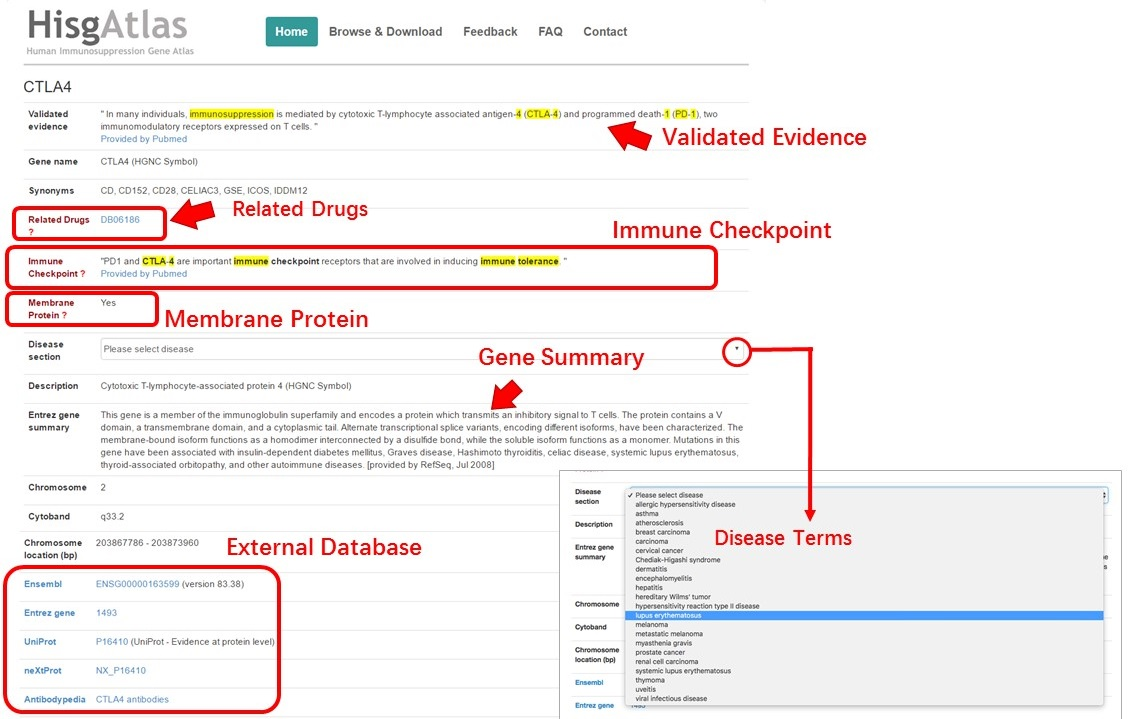 Information of the autoantigen gene